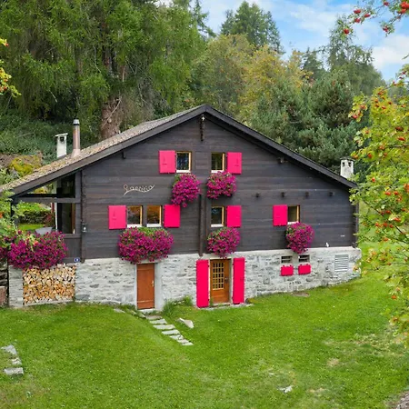 Laetitia - 8 Pers - Charme Et Authenticite Chalet Nendaz
